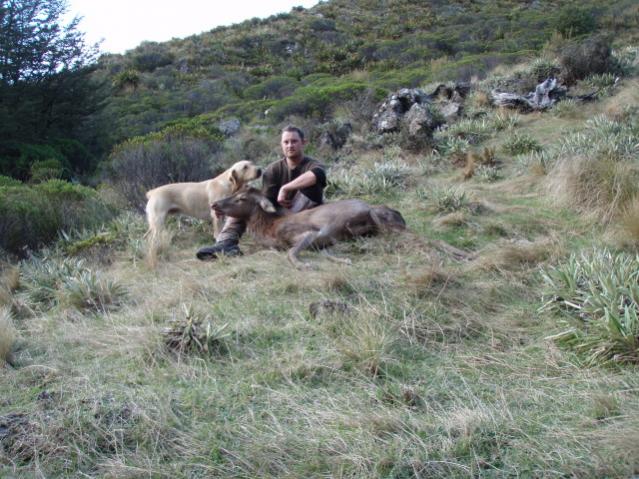 Name:  Oscarsfirstdeer006[1].jpg
Views: 308
Size:  68.1 KB