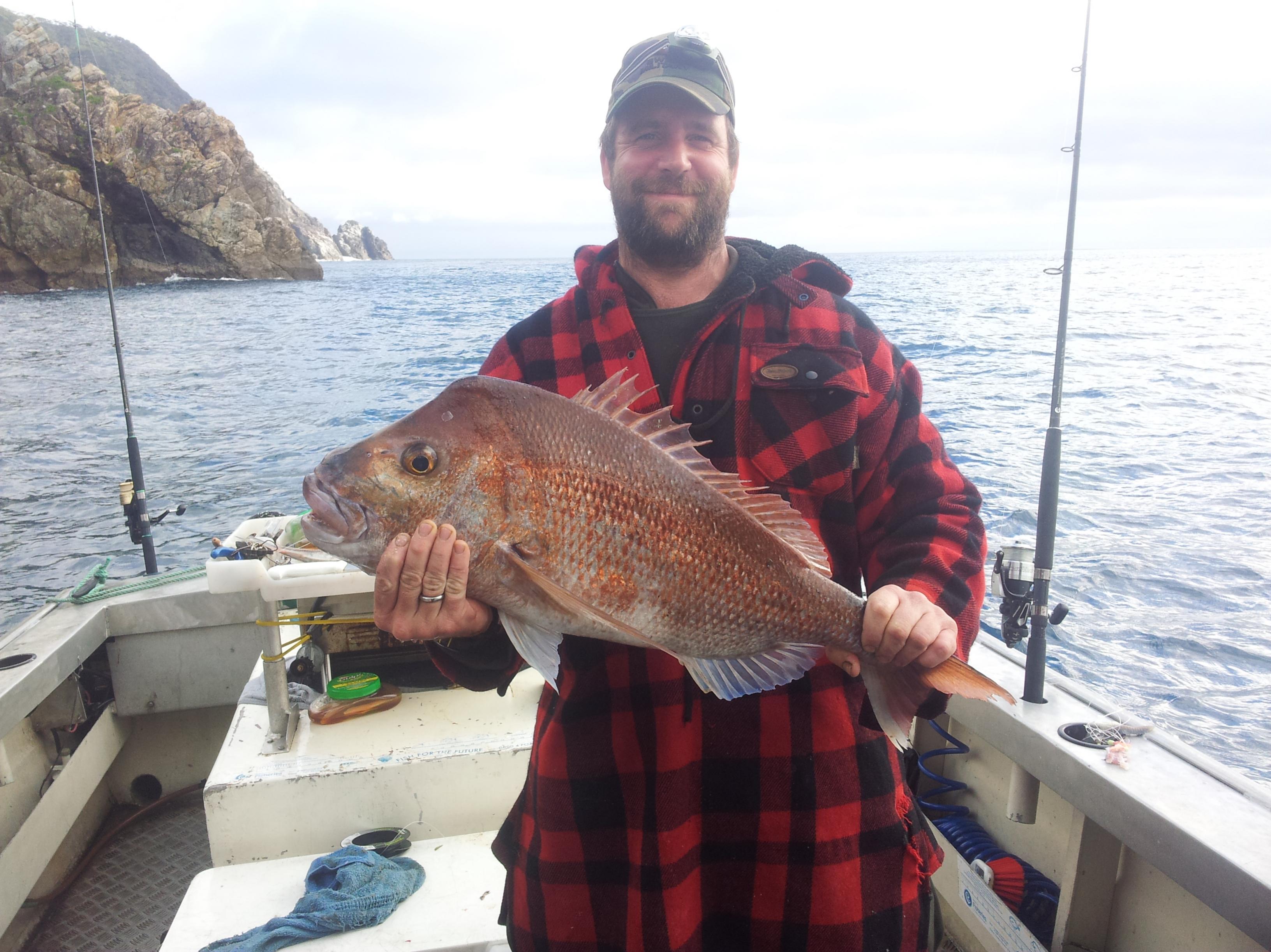 Name:  barrier fish.jpg
Views: 550
Size:  754.9 KB