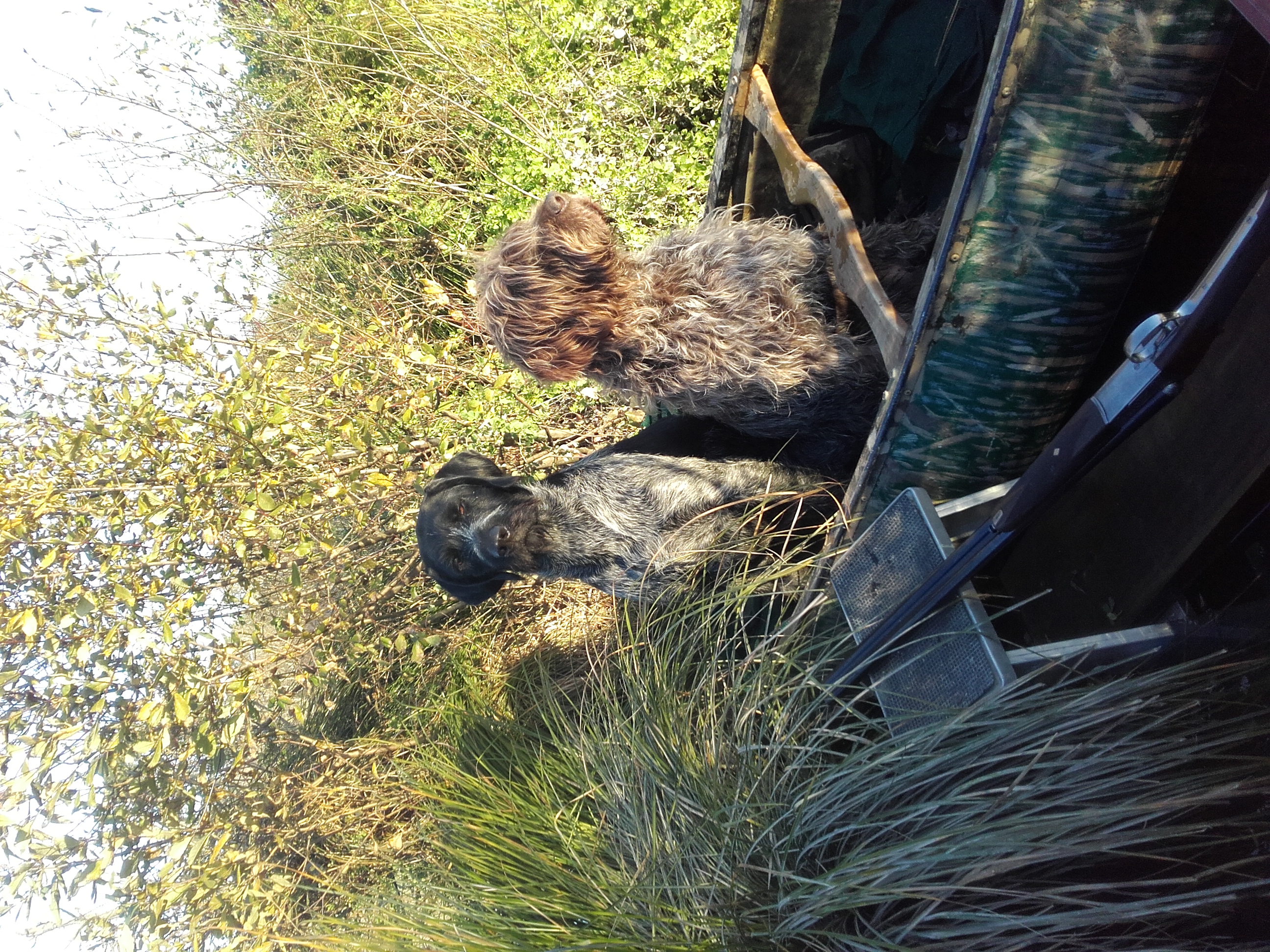 Name:  20180506_Burl Thor in canoe in sun.jpg
Views: 200
Size:  3.42 MB