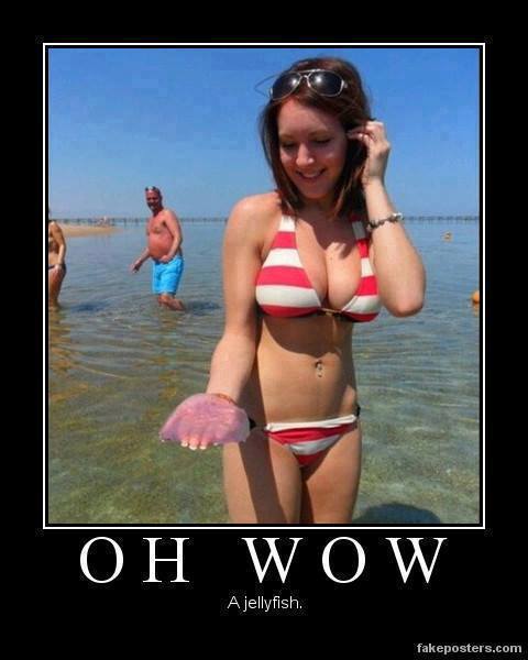 Name:  1393684_718196898210040_1287097011_n.jpg
Views: 99
Size:  31.8 KB
