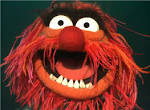 Name:  animal.jpg
Views: 281
Size:  5.8 KB