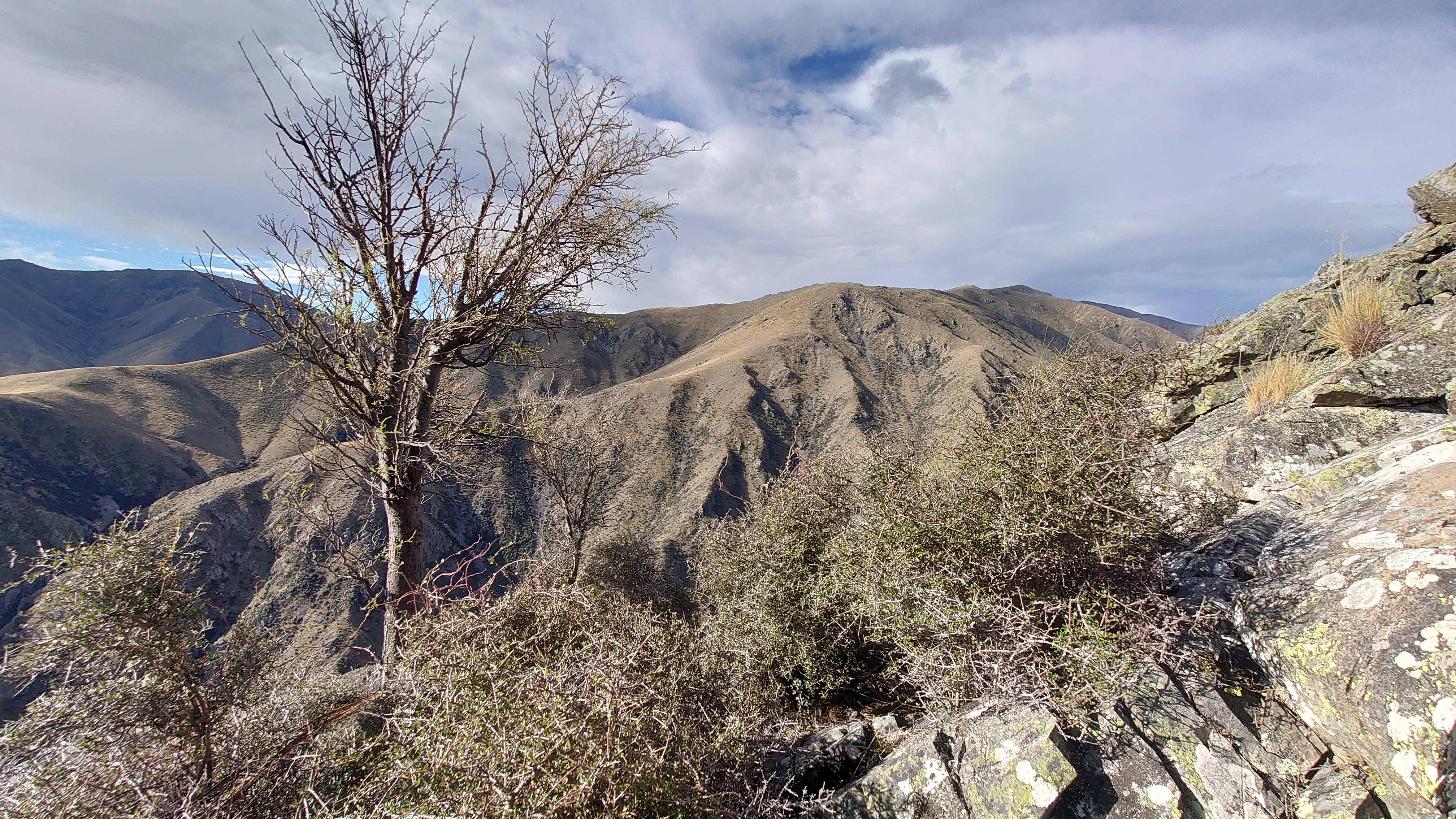 Name:  DSC_4342.JPG
Views: 194
Size:  6.17 MB