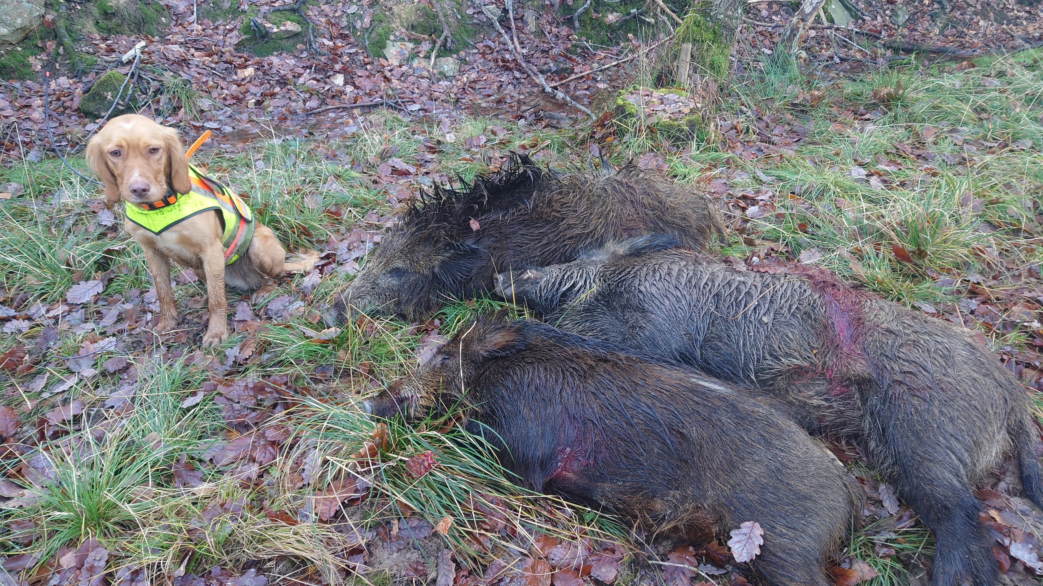 Name:  DSC_5934.JPG
Views: 190
Size:  6.55 MB