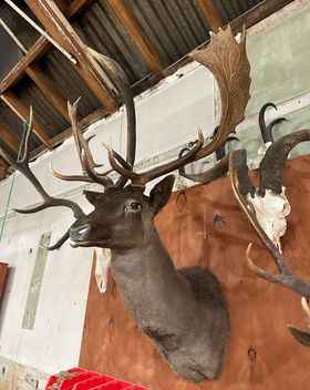 Name:  Fallow.jpg
Views: 174
Size:  24.3 KB