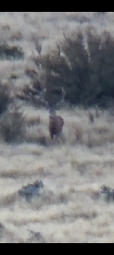 Name:  blurry photo resized.jpg
Views: 120
Size:  140.8 KB