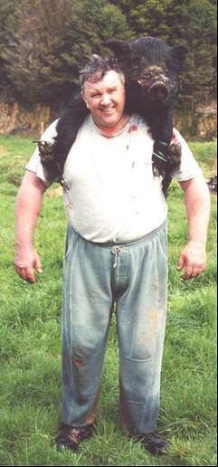 Name:  PIG-1.jpg
Views: 1599
Size:  24.5 KB