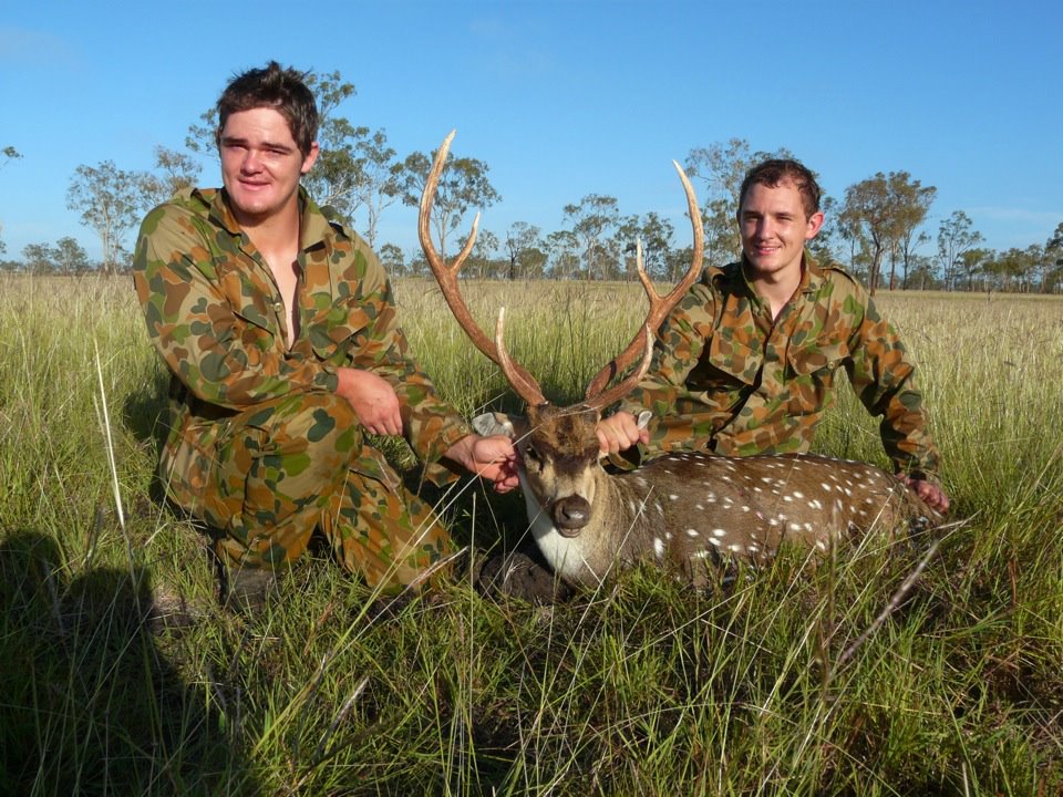 Name:  Chital 2.jpg
Views: 703
Size:  183.5 KB