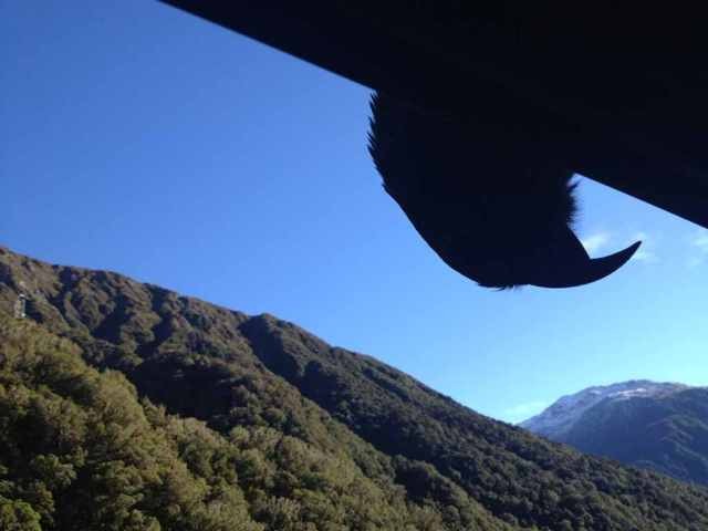 Name:  ImageUploadedByTapatalk1369268746.544797.jpg
Views: 1012
Size:  37.2 KB