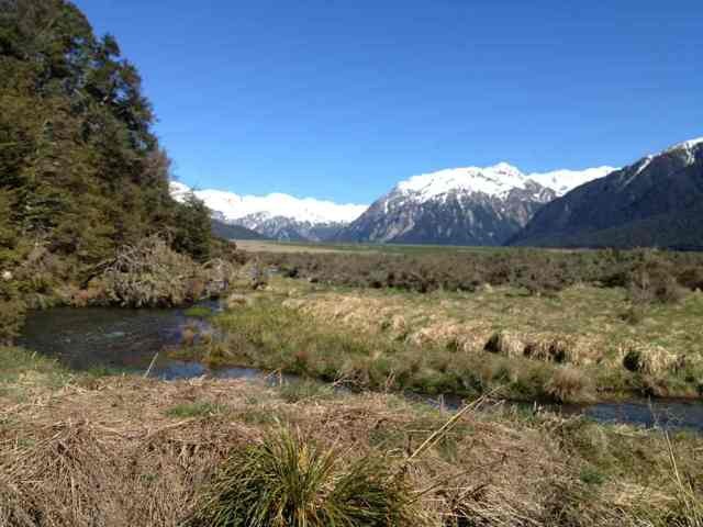 Name:  ImageUploadedByTapatalk1369269084.207527.jpg
Views: 935
Size:  70.3 KB
