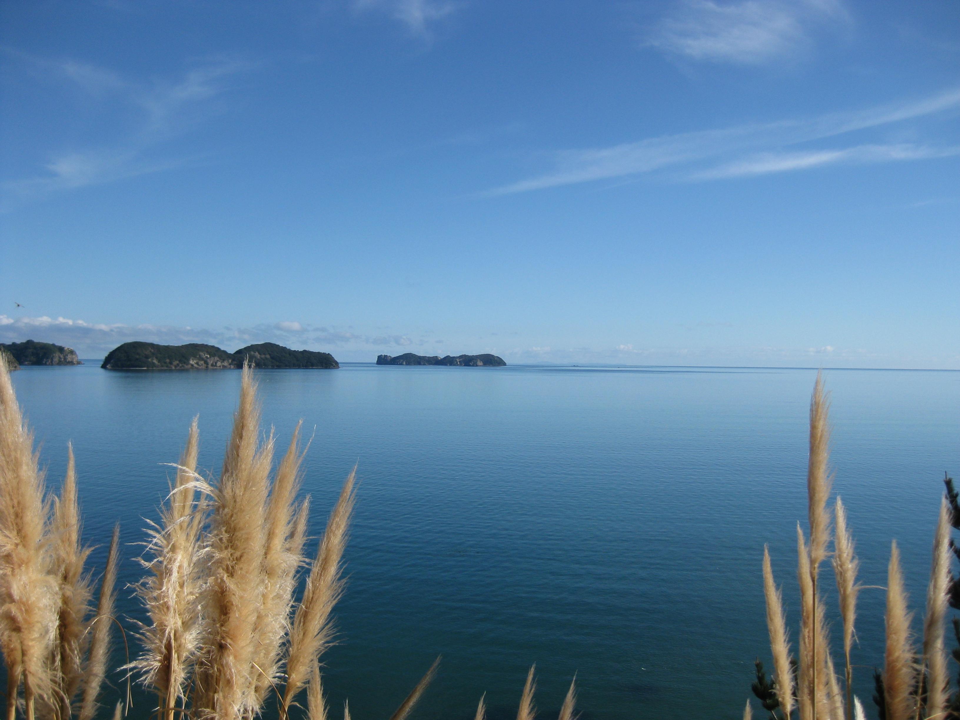 Name:  coro coast.jpg
Views: 497
Size:  575.3 KB
