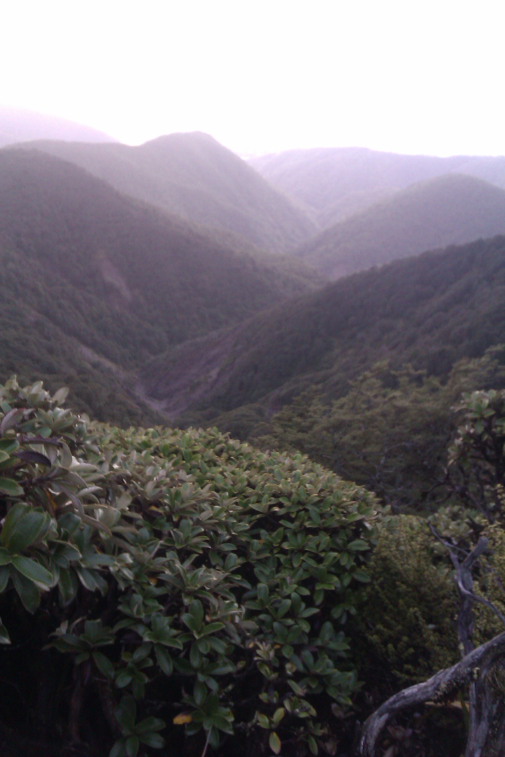 Name:  IMAG0012 (1).jpg
Views: 535
Size:  598.2 KB