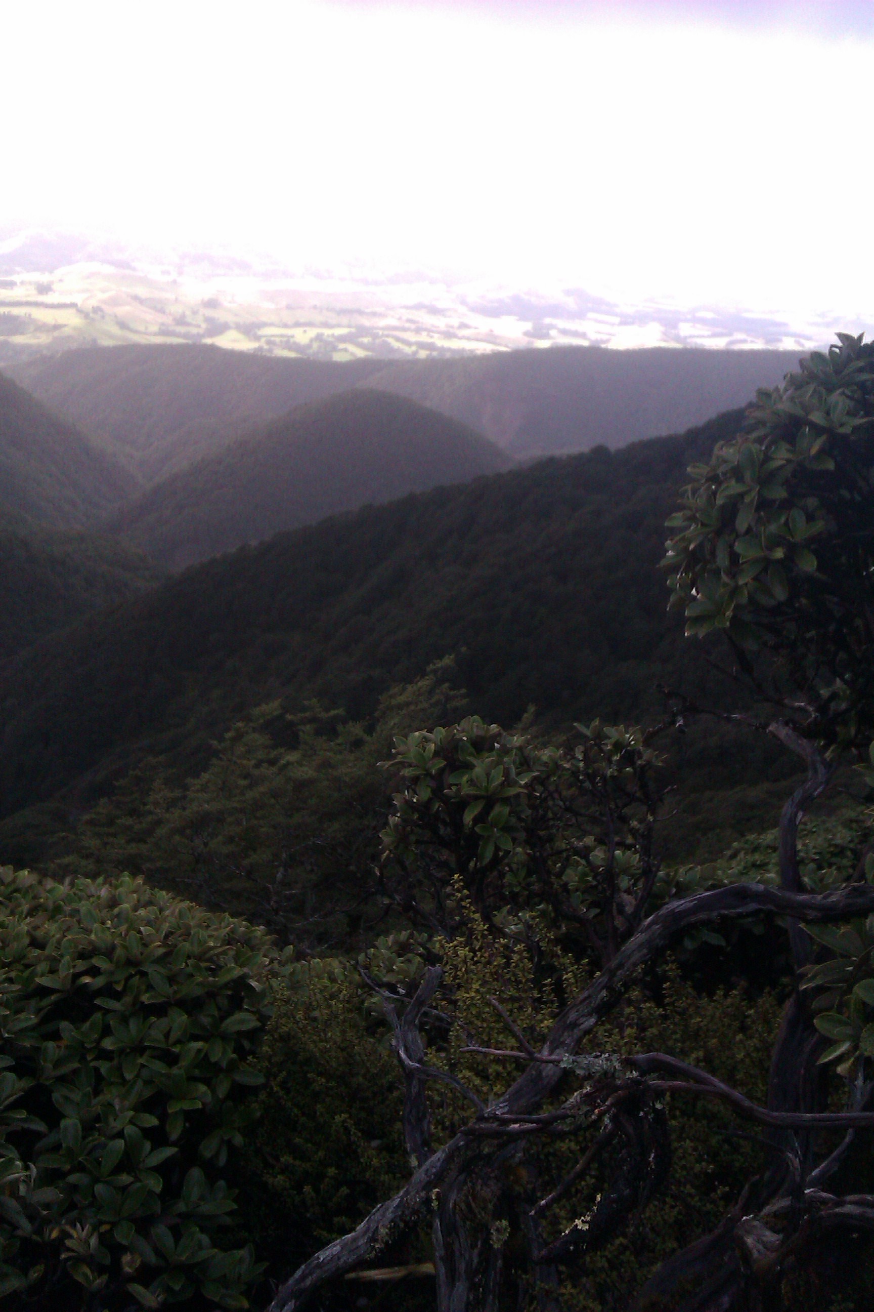 Name:  IMAG0014.jpg
Views: 532
Size:  641.0 KB