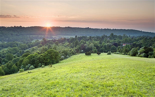 Name:  boxhill-view_1838473b.jpg
Views: 356
Size:  91.6 KB