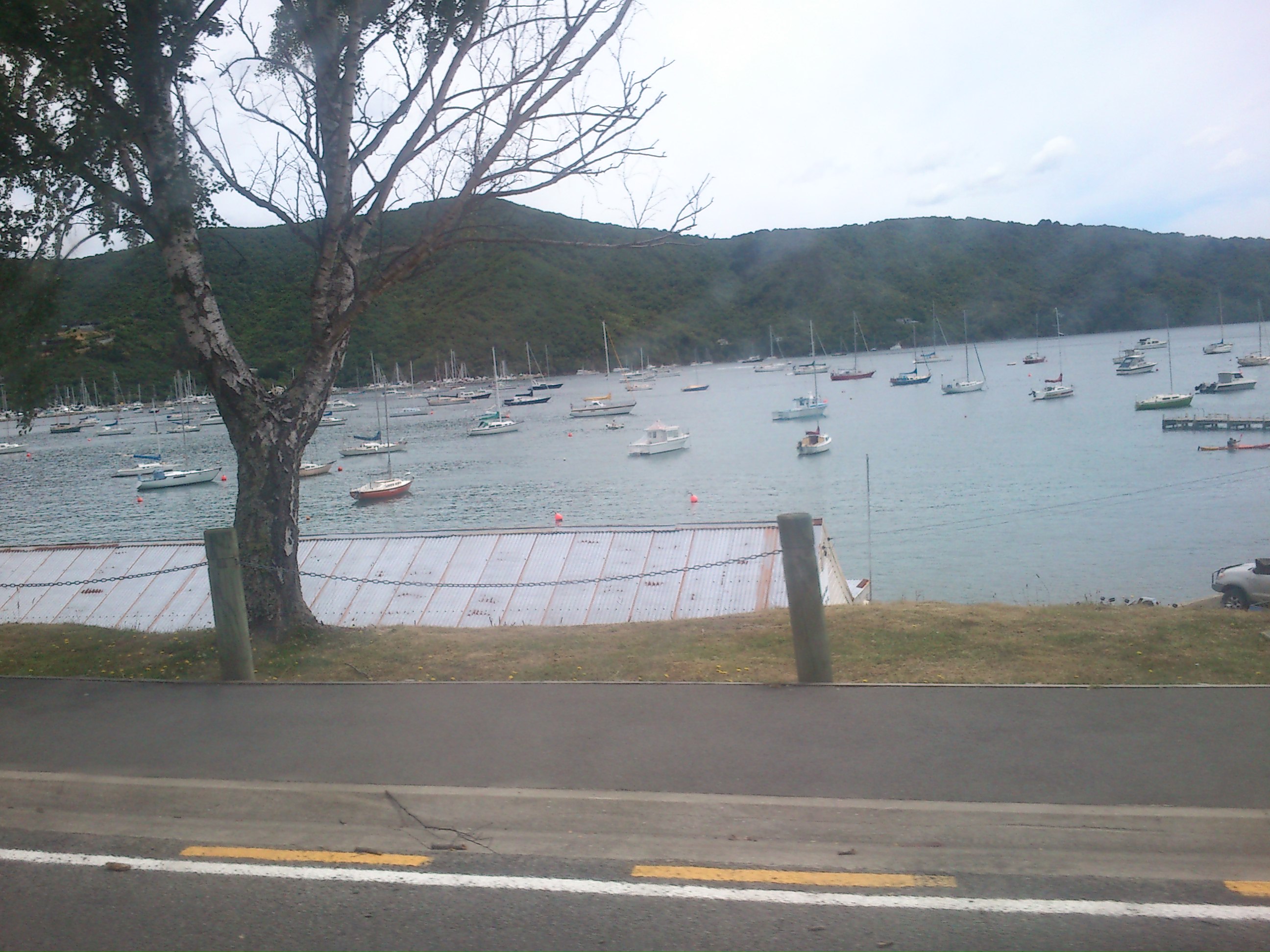 Name:  DSC_0166.JPG
Views: 407
Size:  736.1 KB