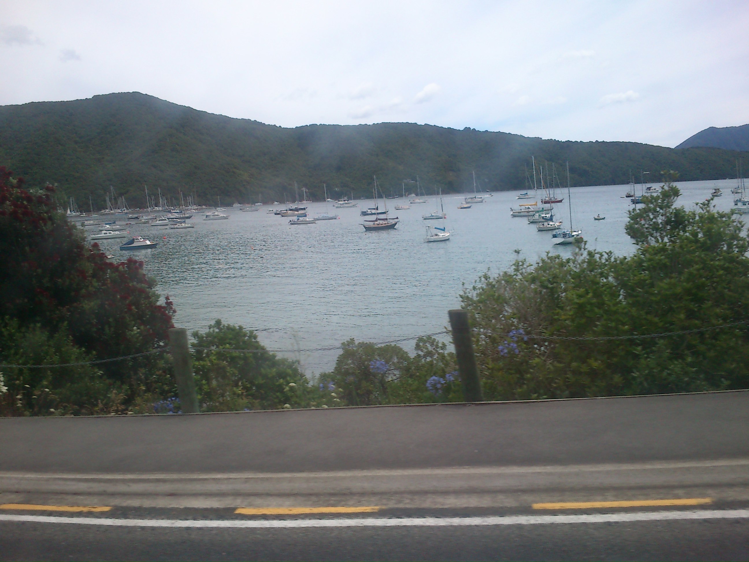 Name:  DSC_0168.JPG
Views: 384
Size:  615.0 KB