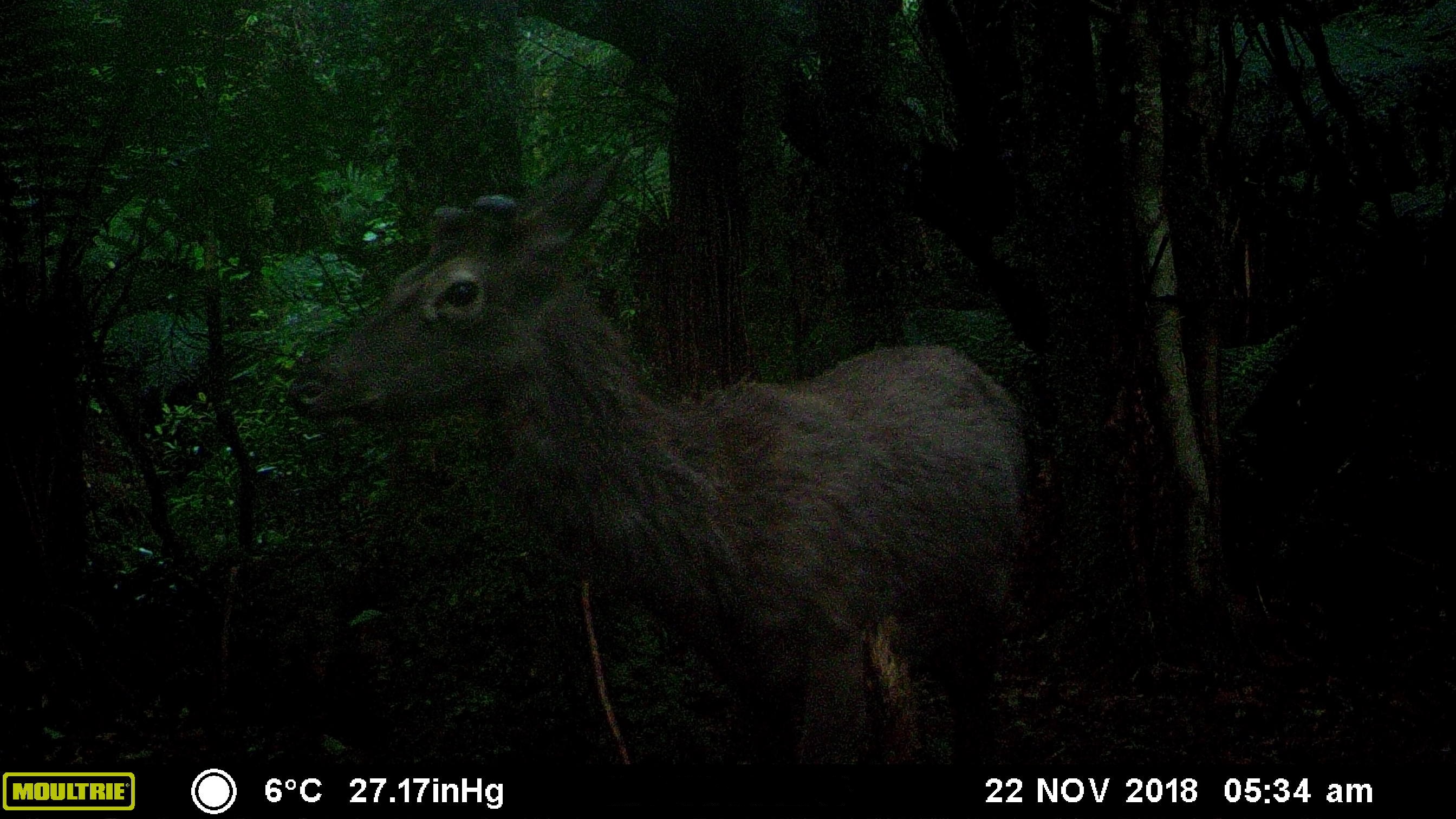 Name:  MFDC3215.JPG
Views: 600
Size:  792.4 KB