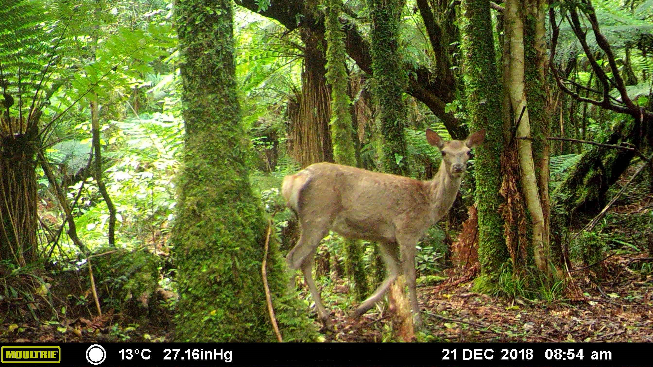 Name:  MFDC3315.JPG
Views: 528
Size:  1.15 MB