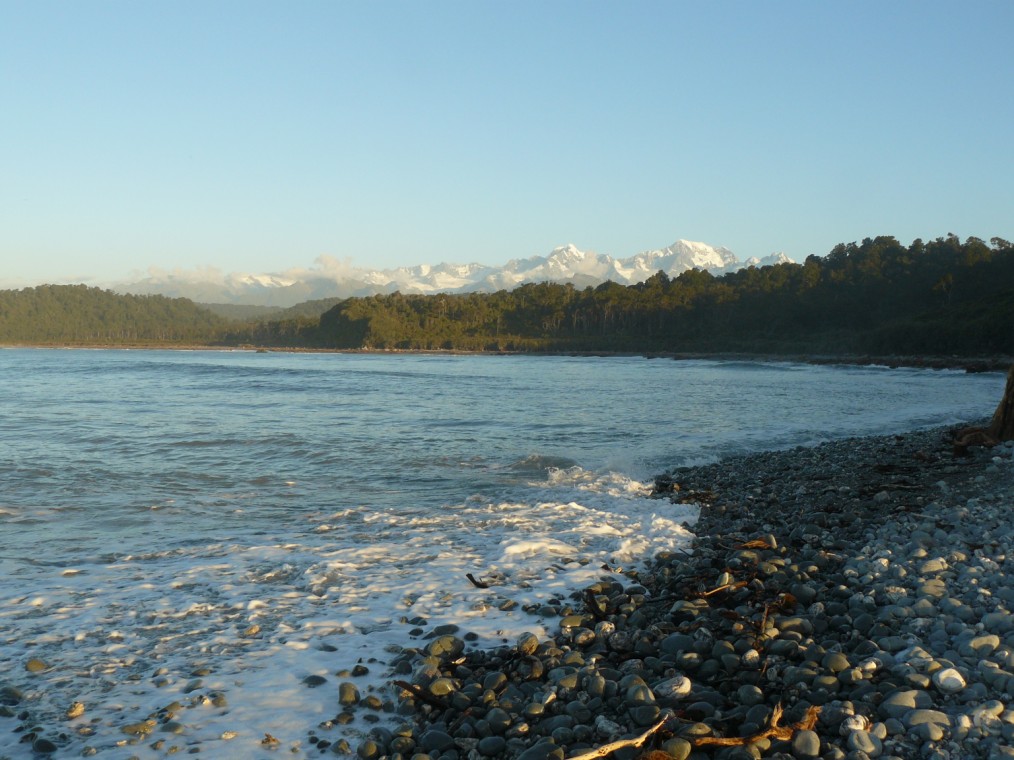 Name:  coastal forest west coast.jpg
Views: 337
Size:  171.8 KB