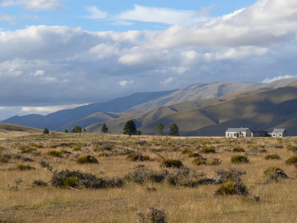 Name:  early settler house landscape.jpg
Views: 344
Size:  177.1 KB