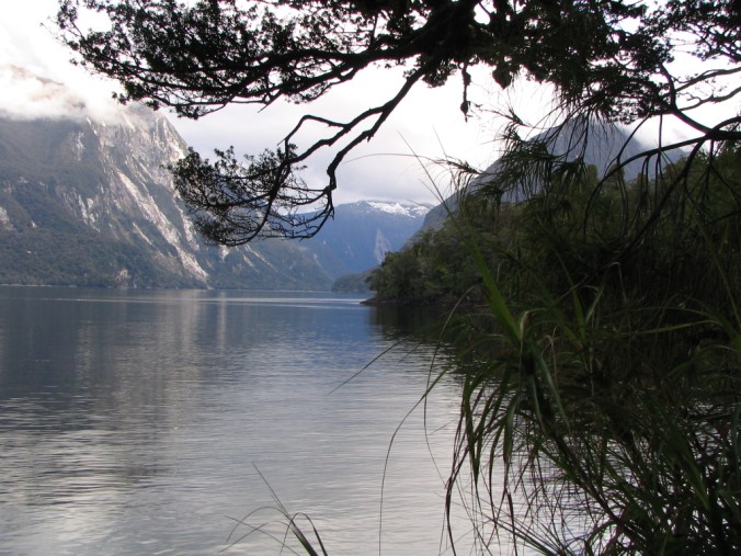 Name:  Doubtful Sound Fiordland.jpg
Views: 349
Size:  118.0 KB