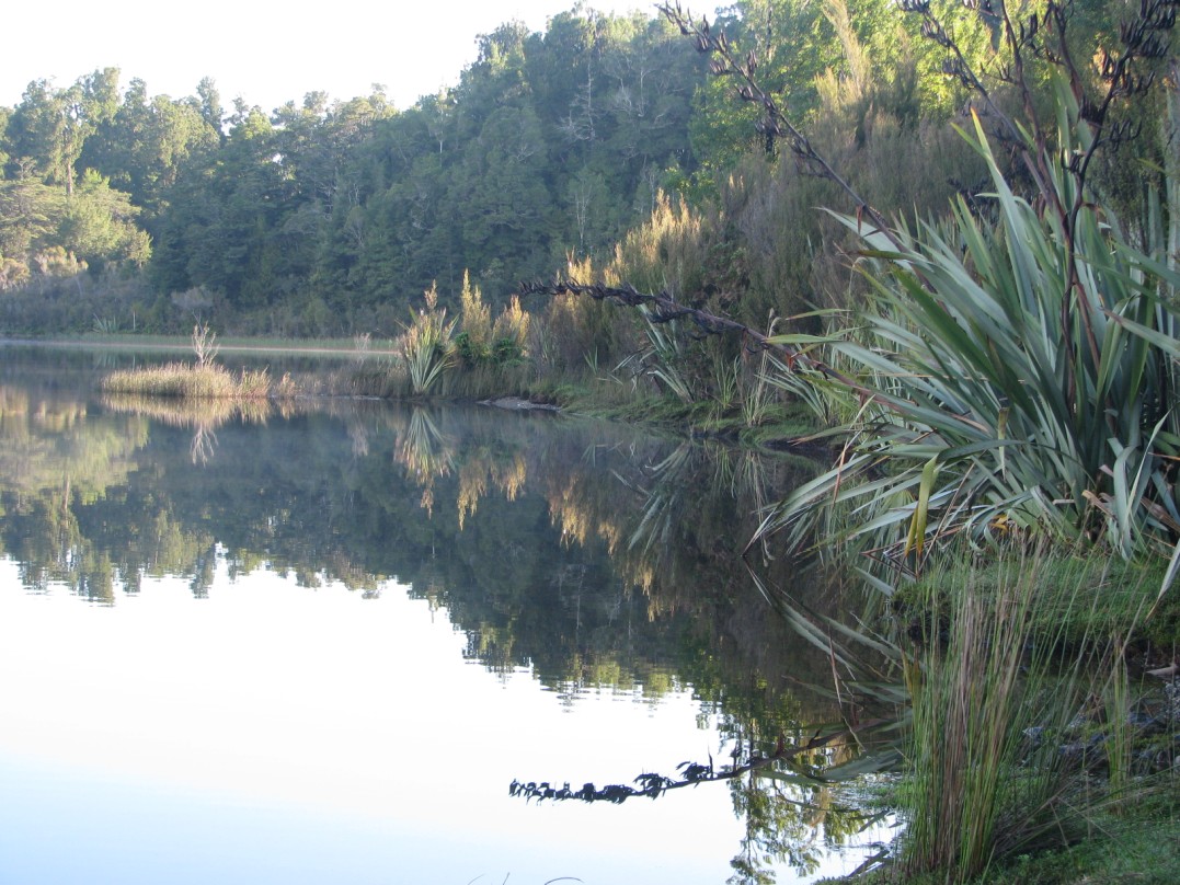 Name:  Lake Hockstetter.jpg
Views: 356
Size:  248.0 KB