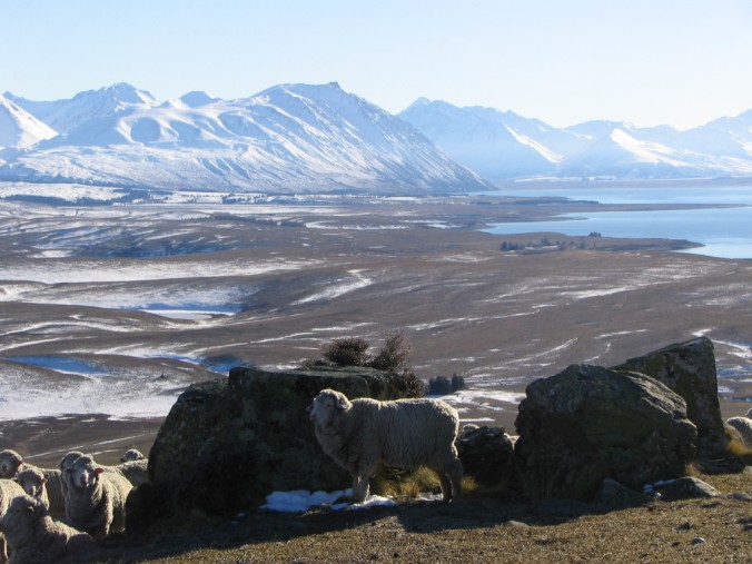Name:  LakeTekapo.jpg
Views: 351
Size:  86.8 KB