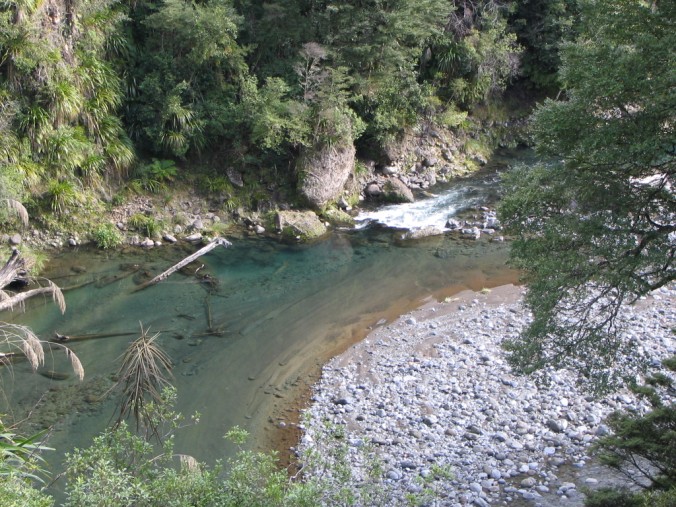 Name:  Trout stream Kaimanawa Forest Park.jpg
Views: 368
Size:  151.4 KB