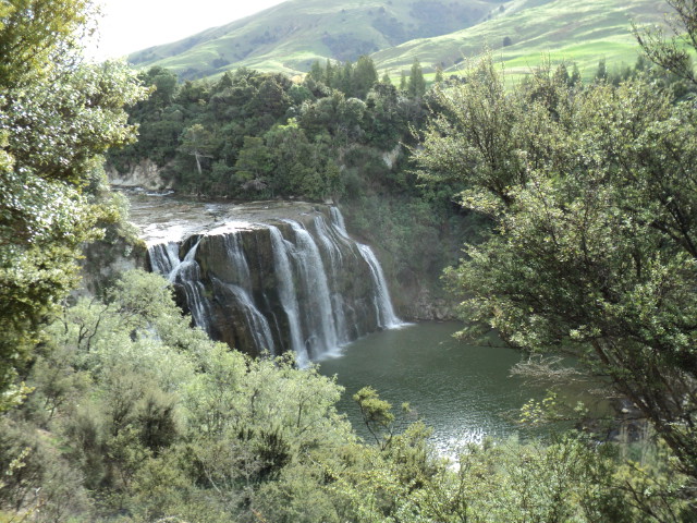 Name:  picture 1775.jpg
Views: 321
Size:  164.5 KB