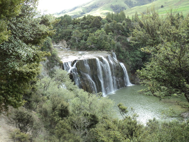 Name:  picture 1780.jpg
Views: 317
Size:  164.8 KB