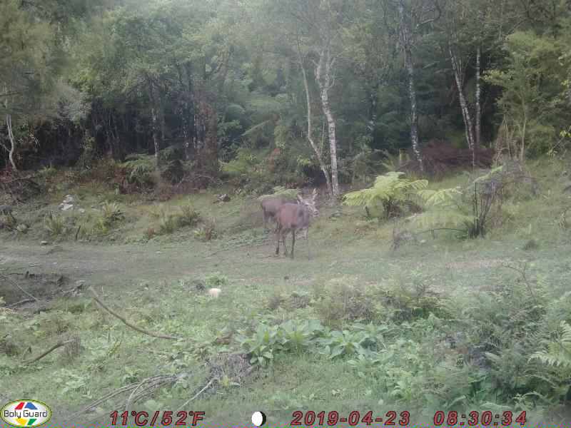 Name:  0008.JPG
Views: 550
Size:  51.9 KB