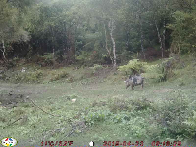 Name:  0009.JPG
Views: 553
Size:  51.4 KB