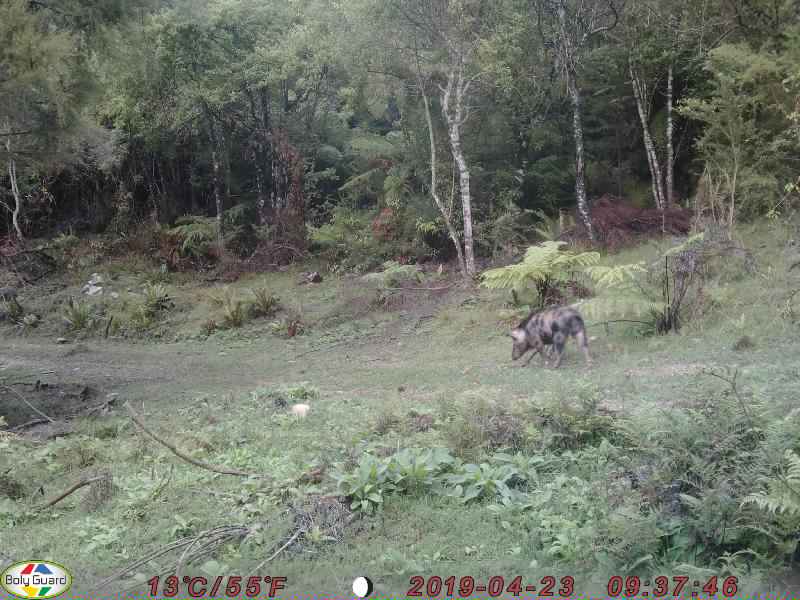 Name:  0010.JPG
Views: 466
Size:  62.0 KB