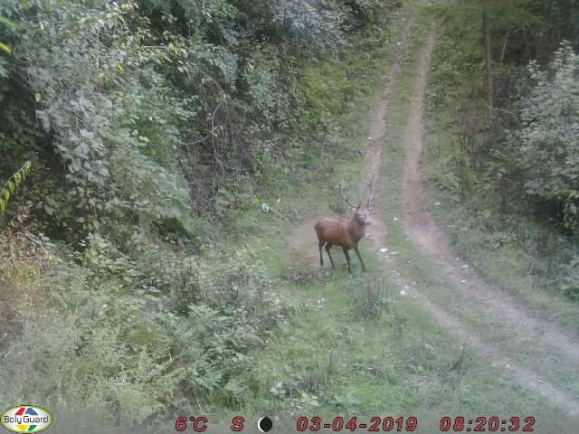 Name:  0085.JPG
Views: 402
Size:  61.5 KB