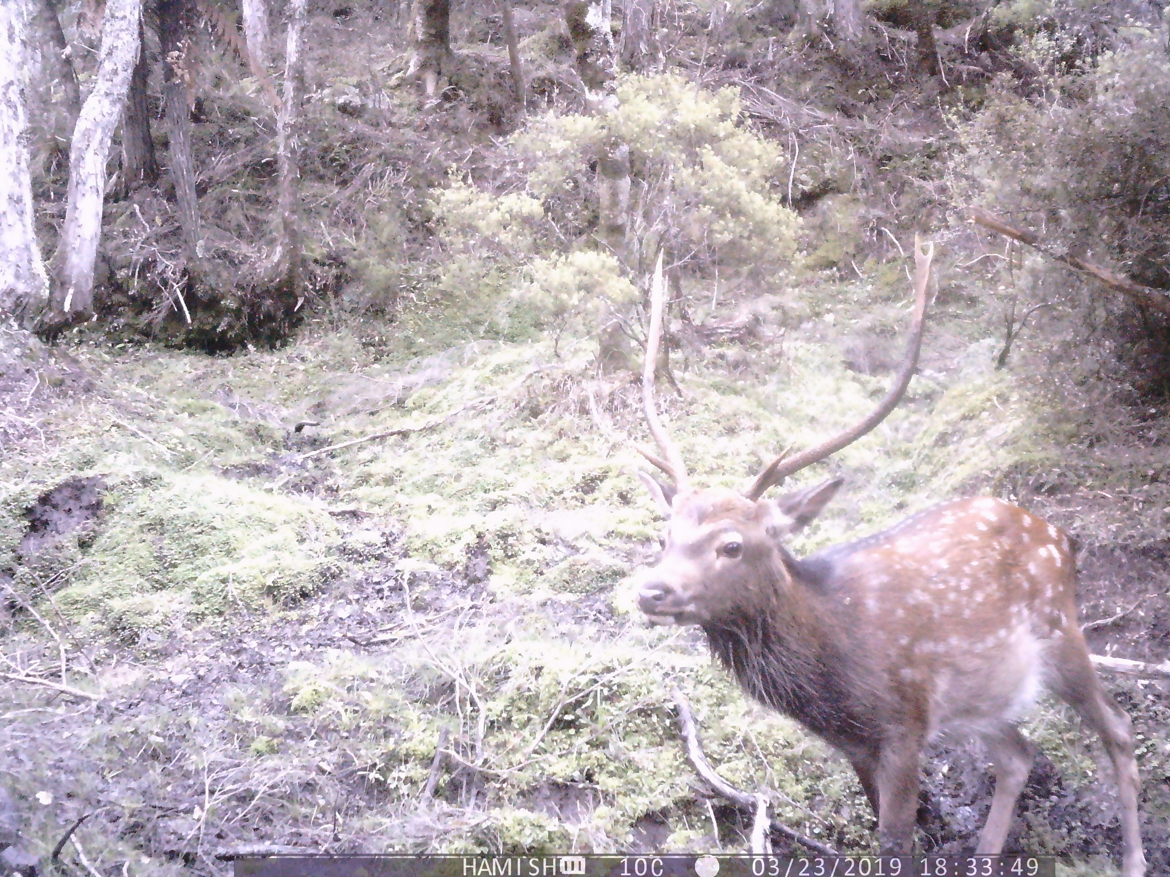 Name:  PTDC0027.JPG
Views: 664
Size:  4.15 MB