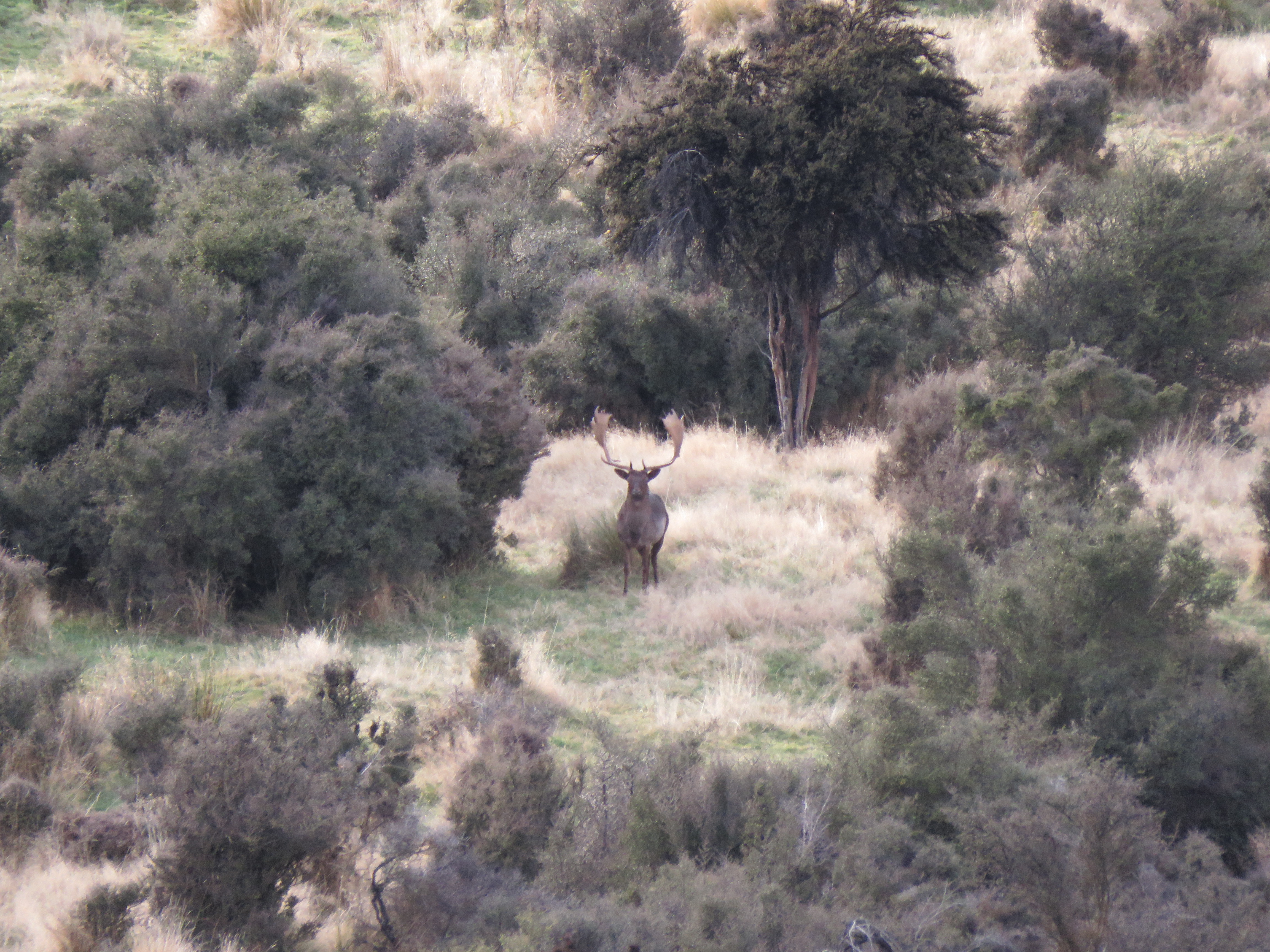 Name:  IMG_0301.JPG
Views: 482
Size:  5.40 MB