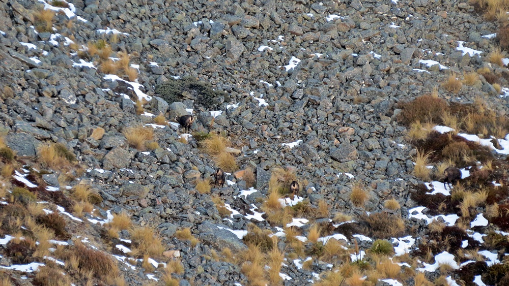 Name:  IMG_0057.JPG
Views: 637
Size:  385.0 KB