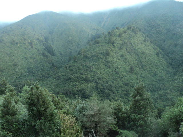 Name:  picture 01 3739.jpg
Views: 346
Size:  162.8 KB