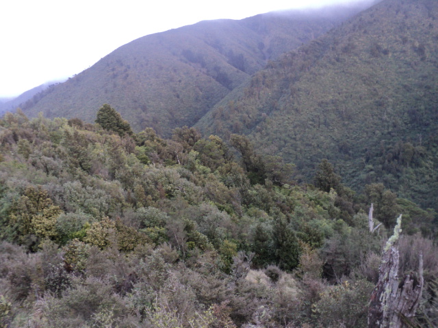 Name:  picture 01 3740.jpg
Views: 358
Size:  164.9 KB