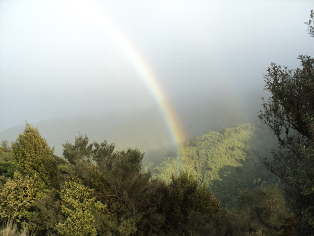 Name:  picture 01 3741.jpg
Views: 341
Size:  164.6 KB