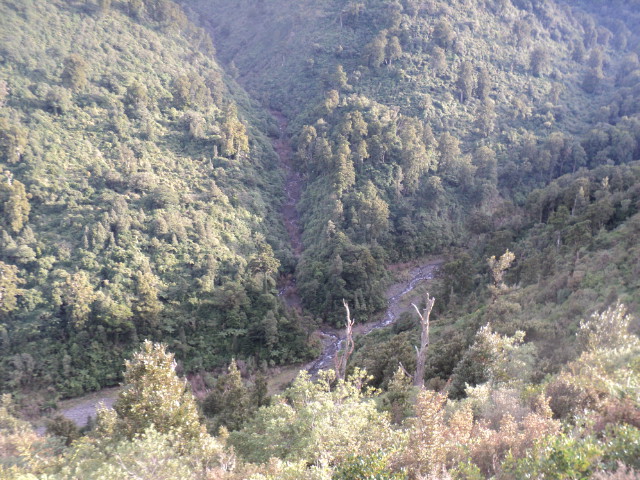 Name:  picture 01 3742.jpg
Views: 345
Size:  165.0 KB