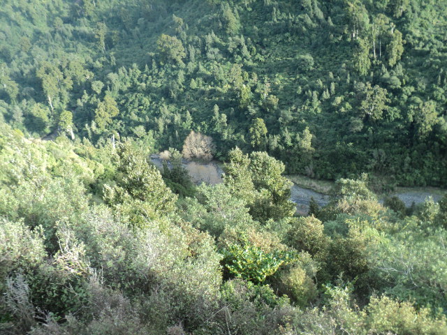 Name:  picture 01 3743.jpg
Views: 348
Size:  165.2 KB