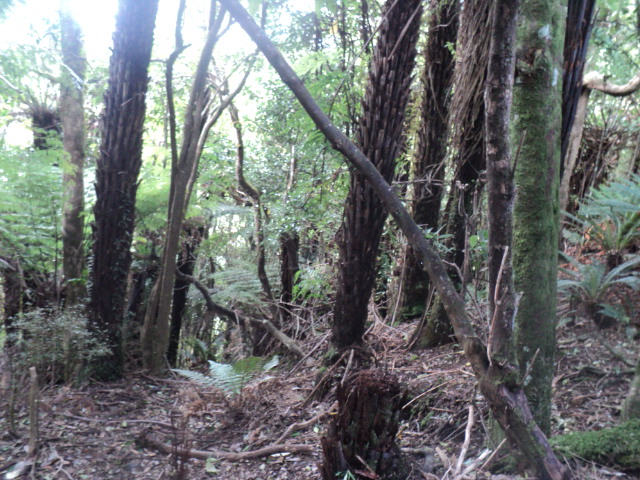 Name:  picture 01 3746.jpg
Views: 374
Size:  164.9 KB