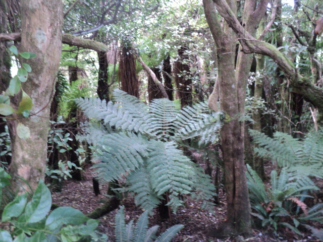 Name:  picture 01 3748.jpg
Views: 352
Size:  163.7 KB