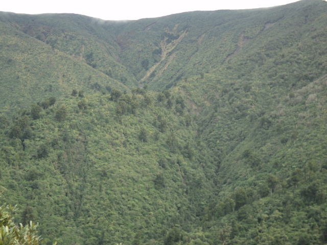 Name:  picture 01 3749.jpg
Views: 375
Size:  163.7 KB
