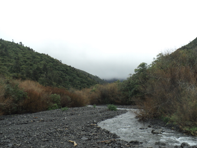 Name:  picture 01 3775.jpg
Views: 703
Size:  165.3 KB