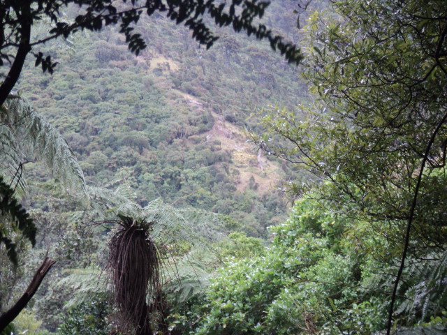 Name:  picture 01 3779.jpg
Views: 752
Size:  163.9 KB