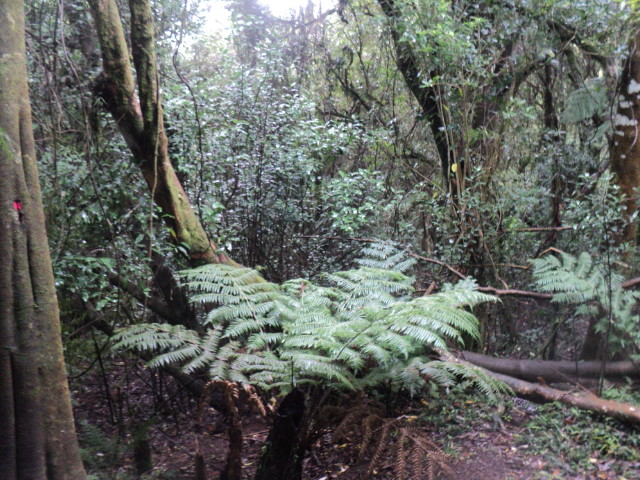 Name:  picture 01 3780.jpg
Views: 724
Size:  164.6 KB