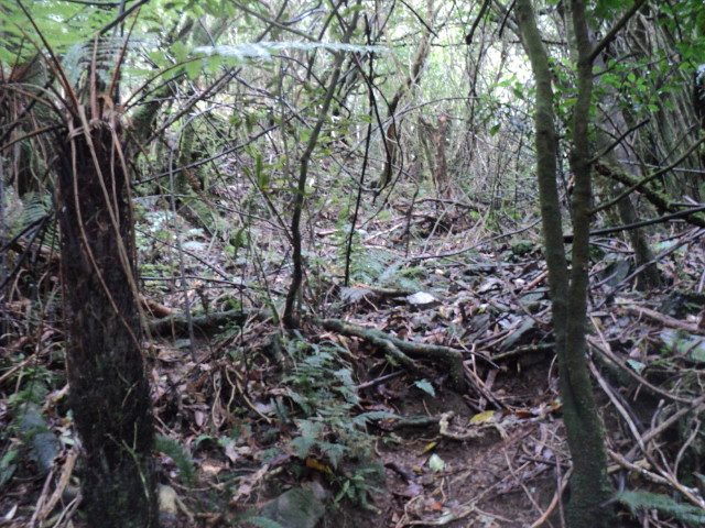 Name:  picture 01 3782.jpg
Views: 697
Size:  163.5 KB