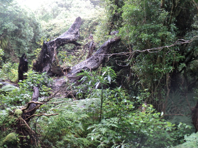 Name:  picture 01 3783.jpg
Views: 673
Size:  164.2 KB