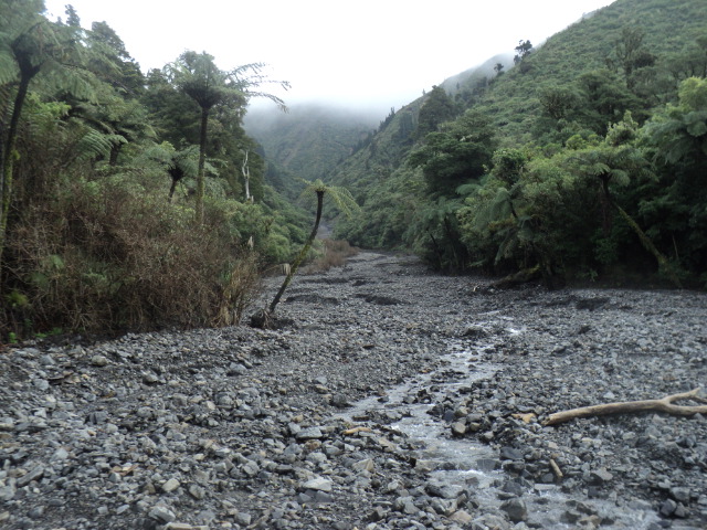 Name:  picture 01 3825.jpg
Views: 236
Size:  163.7 KB